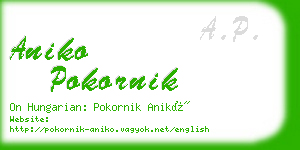 aniko pokornik business card